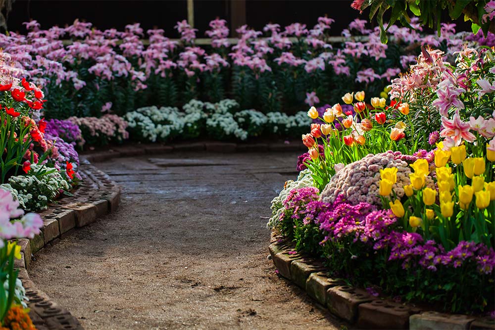 flower garden