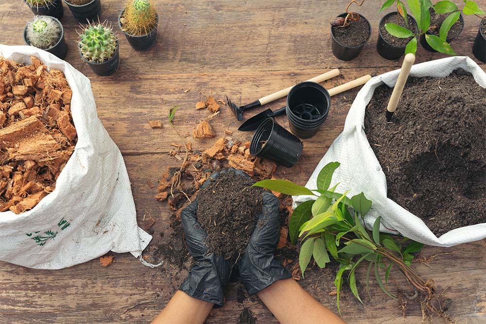 Gardening & Landscaping