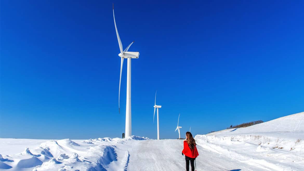 Canada's Climate Action: Navigating the Shifting Environmental Landscape